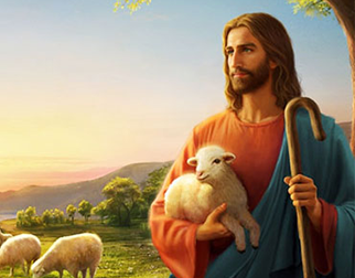 The 10 best principles of storage for different types of meat