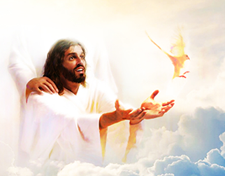 Experience the difference of truly exceptional beef meat